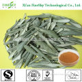Halal ISO9000 Olive leaf extract (oleuropein 10% 20% 40%) Olea Europaea food supplement